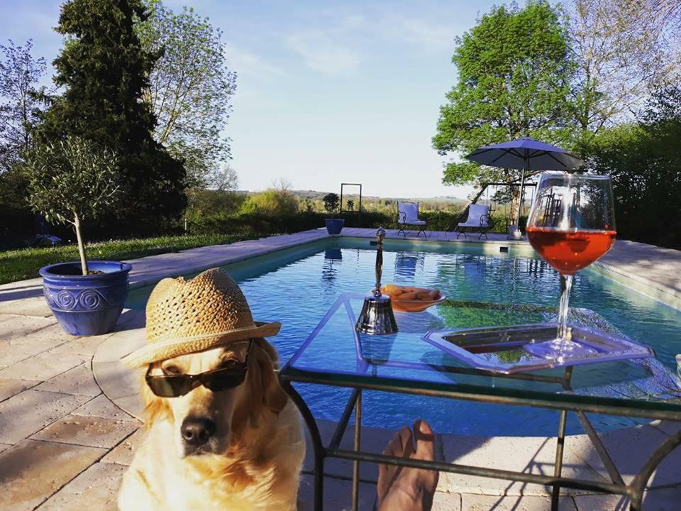 Domaine Du Merlot Sainte-Sabine-Born Екстер'єр фото